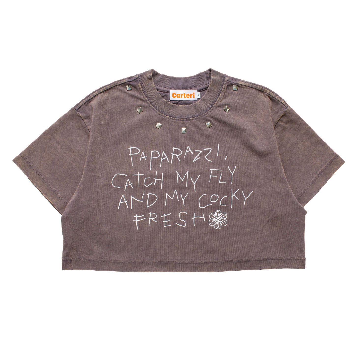 PAPARAZZI PIGMENT DYE CROPPED T-SHIRT -BROWN-