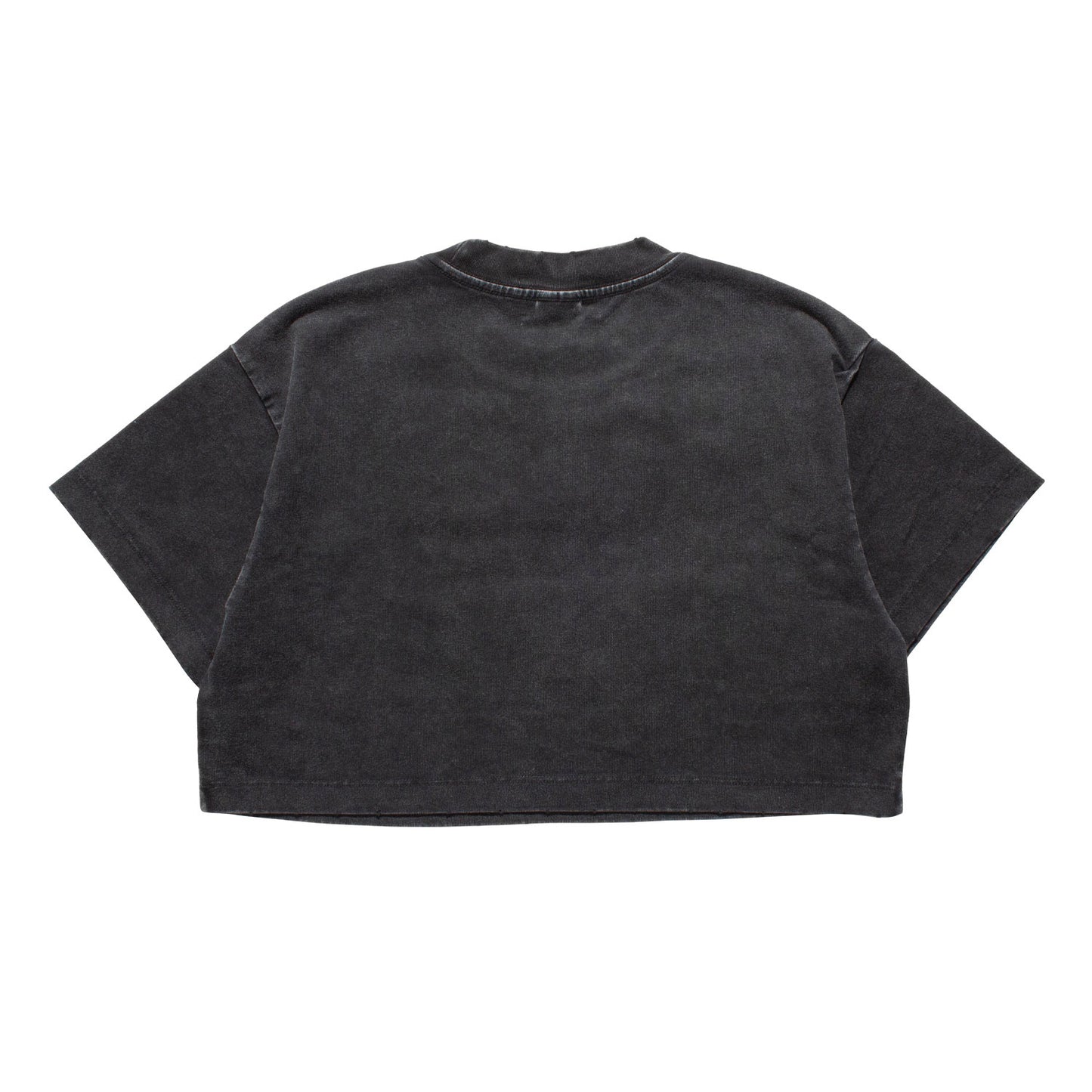 PAPARAZZI PIGMENT DYE CROPPED T-SHIRT -GREY-